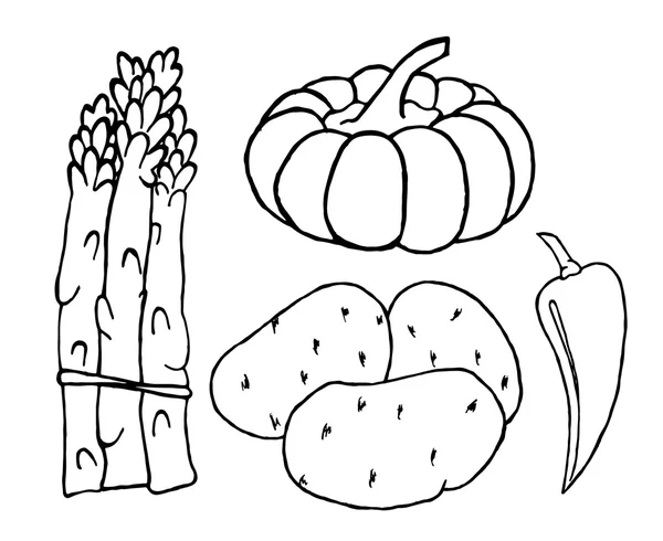 Verduras sobre fondo blanco . — Vector de stock