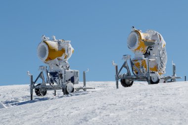 İki sarı kar silah