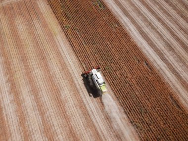 Soya fasulyesi hasadının üst görüntüsü