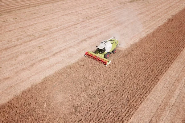 Combine Harvesting Genetically Modified Soya Bean Field — Stock Photo, Image