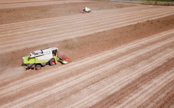 Two Combine Harvest Soya Bean Field — Stock Photo, Image