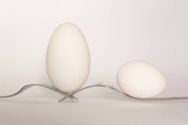 İki çatallı iki beyaz yumurta dengesi