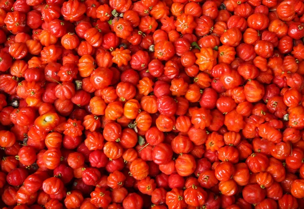 Blick Von Oben Auf Die Frische Pitanga Frucht Eugenia Uniflora — Stockfoto