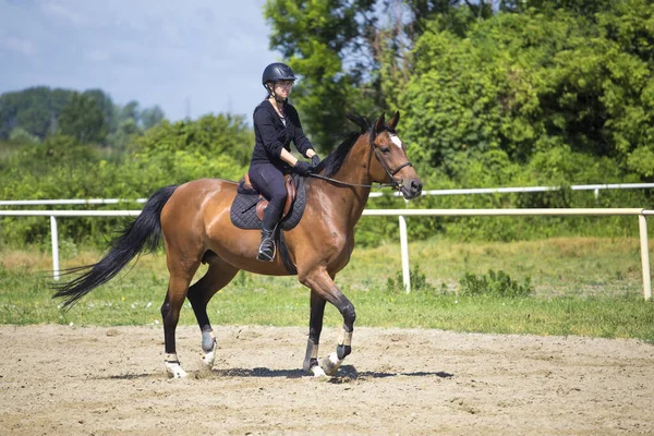 少女は乗馬学校に乗っている — ストック写真