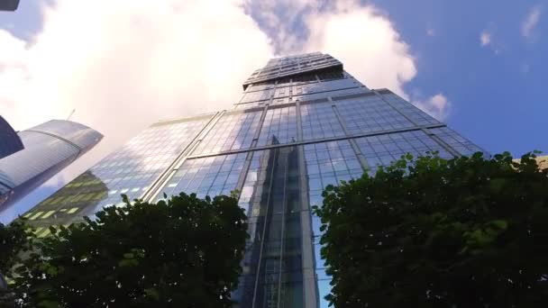 Moving Along The Trimmed Trees With Skyscrapers Low Angle Dolly
