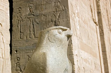 Antik Mısır şahin heykeli Tanrı Horus 'un başındaydı. Horus Tapınağı, Edfu, Mısır,.