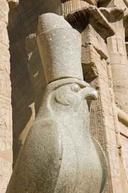 Eski Mısır şahin heykeli tanrı Horus 'un başında Firavun' un tacını, Horus Tapınağını, Edfu 'yu, Mısır' ı giyiyor..