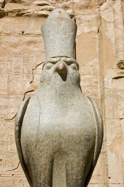 Eski Mısır granit şahin tanrısı Horus 'un heykeli. Horus Tapınağı, Edfu, Mısır.
