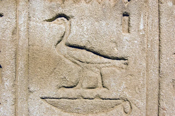 Escultura Hieroglífica Egípcia Antiga Pato Templo Hórus Edfu Egito — Fotografia de Stock