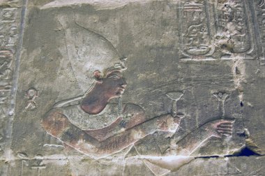 Firavun 'un antik Mısır oyması tanrılara nilüfer çiçeği ve papirüs sunar. Horus Tapınağı 'nın İçi, Edfu, Mısır.
