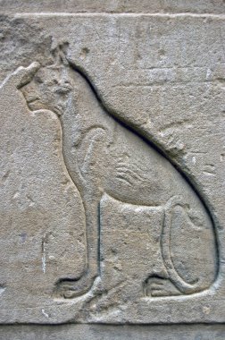 Antik Mısır 'da kedi oyması, Bastet olarak da bilinir. Edfu, Mısır 'daki Horus Tapınağı' nın dış duvarı..