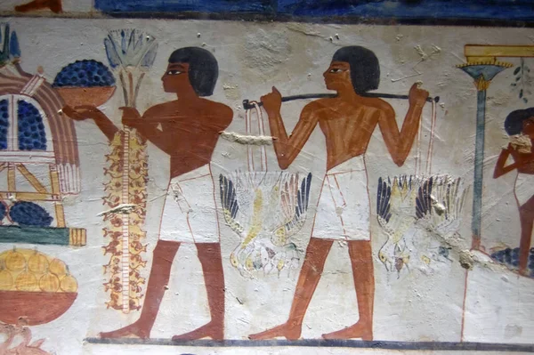 Давньоєгипетське Зображення Гробниць Показує Врожай Був Зібраний Гробниця Нахт Західний — стокове фото