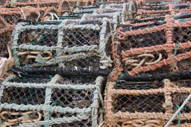 Dorset 'teki Mudeford rıhtımında sıralar dolusu ıstakoz tenceresi kuruyor..