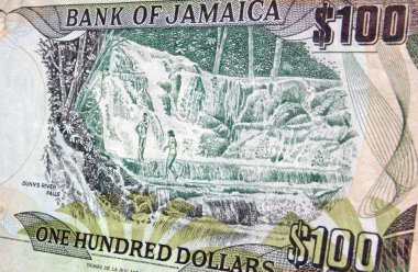 Jamaika 'dan gelen 100 dolarlık banknotun tersi termal kaynakların doğal bir yapı oluşturduğu ünlü Dunns River Falls' u gösteriyor..