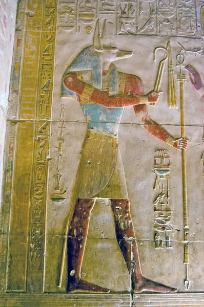 Antik Mısır tanrısı Anubis 'in büyük, boyalı, hiyeroglif oyması. Çakal kafasıyla kendini gösteren Anubis mumyalama tanrısıdır. Mısır 'ın Abydos kentindeki tapınağın iç duvarına antik oymalar yapılmış..