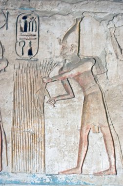 Firavun Ramses II 'nin orakla buğday topladığını gösteren eski bir Mısır hiyeroglifi. Medinet Habu Tapınağı 'nın iç duvarı, Nil' in batı yakası, Lüksör, Mısır.