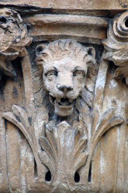 Bristol Şehir Müzesi ve Sanat Galerisi 'nin başkentinde yapraklarla çevrili bir aslan..