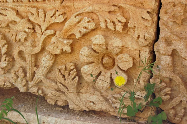 Forntida Romersk Skulptur Basrelieffris Som Visar Sammanflätade Växter Ruinerna Leptis — Stockfoto