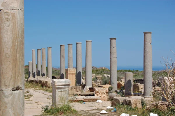 Antigas Colunas Pedra Romana Perto Costa Marítima Arruinada Cidade Leptis — Fotografia de Stock
