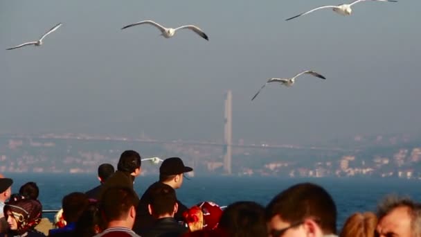 Dar comida a las gaviotas de las personas que viajan en ferry, Mayo 2016, Turquía — Vídeos de Stock