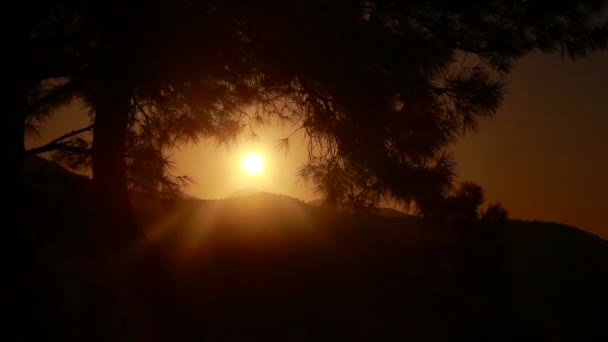 Ηλιοβασίλεμα ήλιο μεταξύ των δέντρων, πάροδο του χρόνου, Τουρκία — Αρχείο Βίντεο