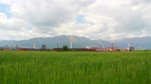 Industrial time lapse, Turkey — Stock Video