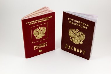 beyaz zemin üzerine Rus pasaportu