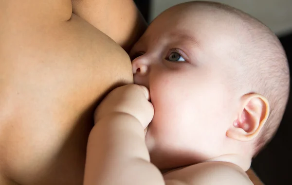 Mother is breastfeeding. Baby suckles — Stock Photo, Image