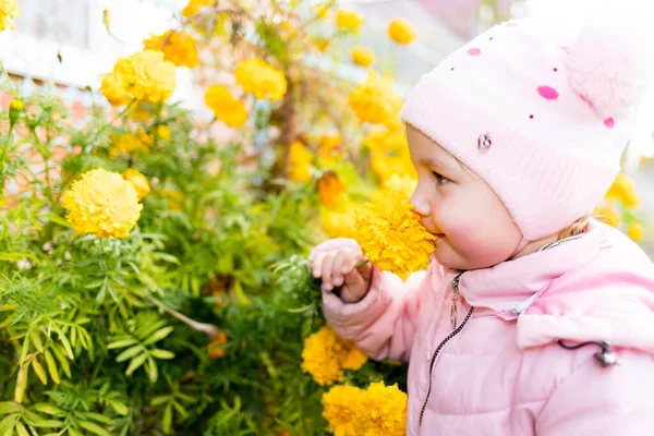 Criança Cheira Flores Amarelas Aroma Flores — Fotografia de Stock