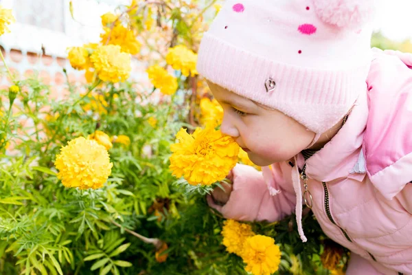 Child Sniffs Yellow Flowers Scent Flowers — Stock Photo, Image