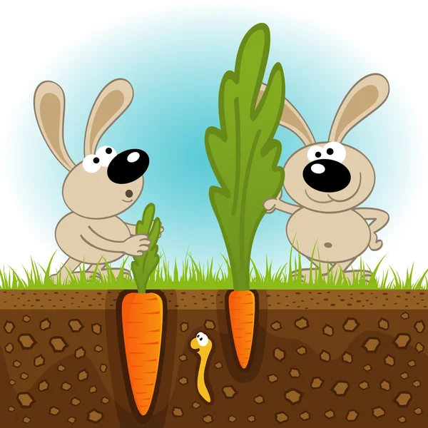 Hares big and small carrots — Stock Vector