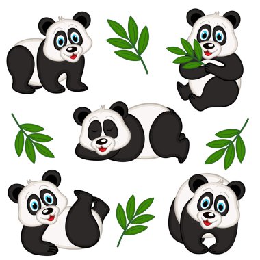 izole panda kümesi 