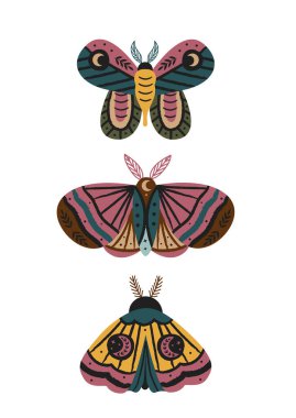 İzole edilmiş sihirli güveler ve kelebekler.