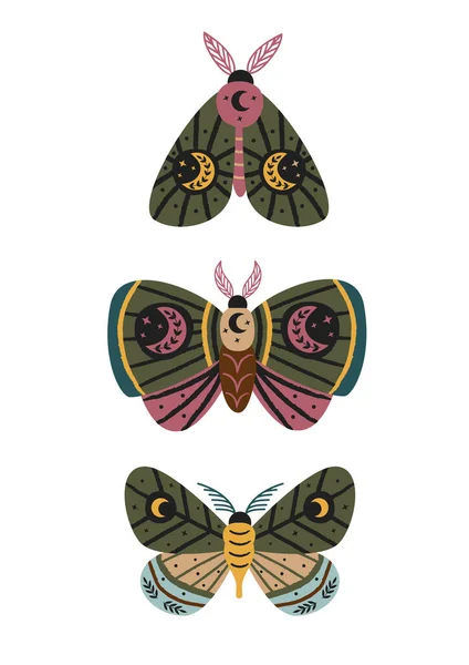 Magiczny Plakat Pięknymi Ćmy Motyle — Wektor stockowy