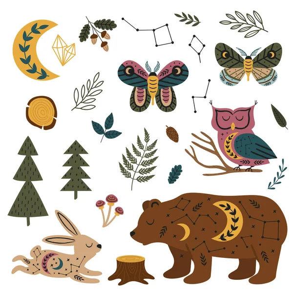 隔離された魔法の森の動物や植物 — ストックベクタ