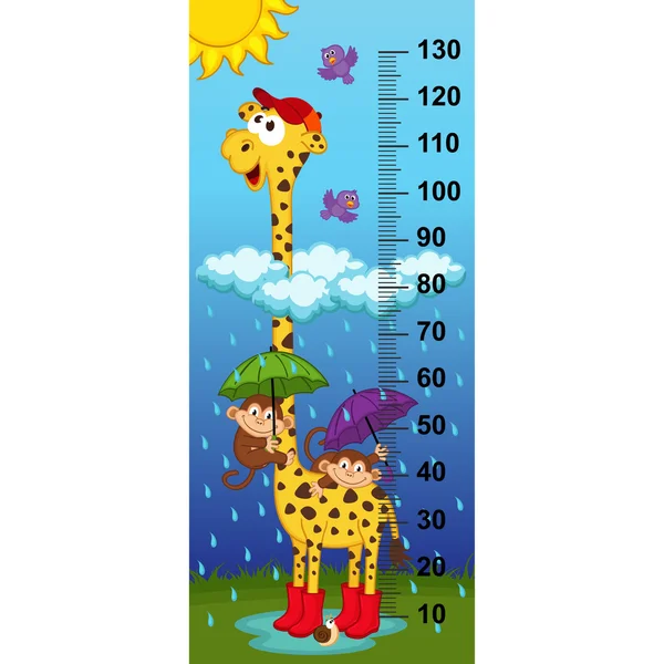 Medida da altura da girafa (em proporções originais 1: 4 — Vetor de Stock