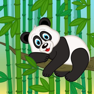 panda şube bamboo arasında dinleniyor