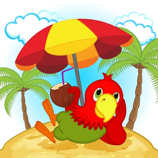 Parrot resting on beach — Stock Vector