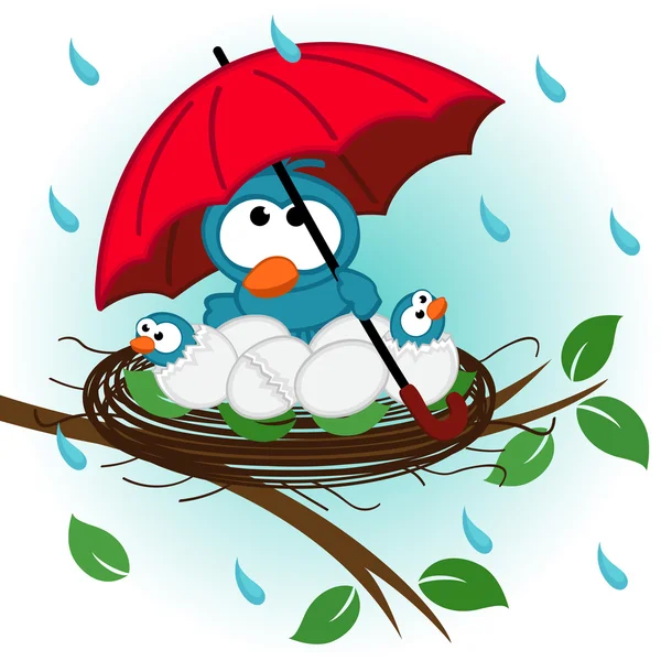 Pássaro sob guarda-chuva no ninho —  Vetores de Stock