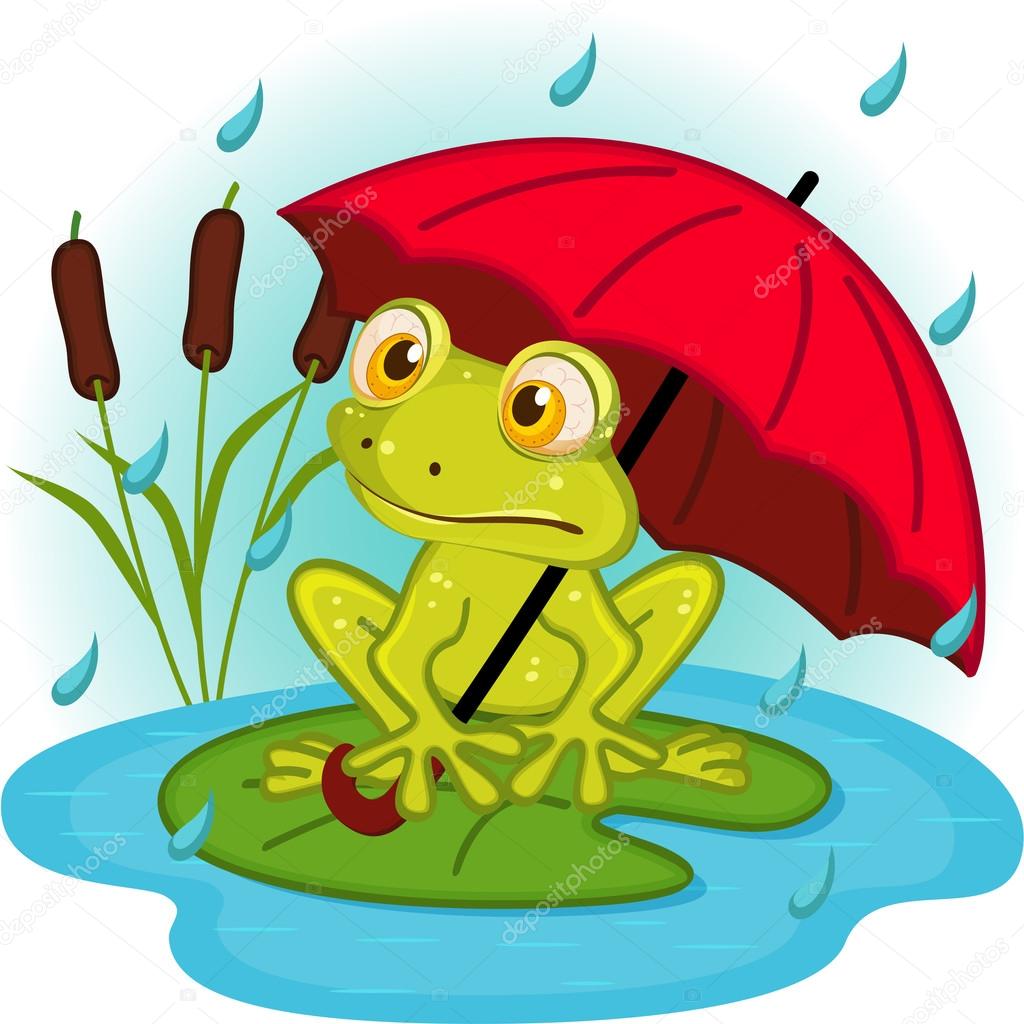 frog under umbrella