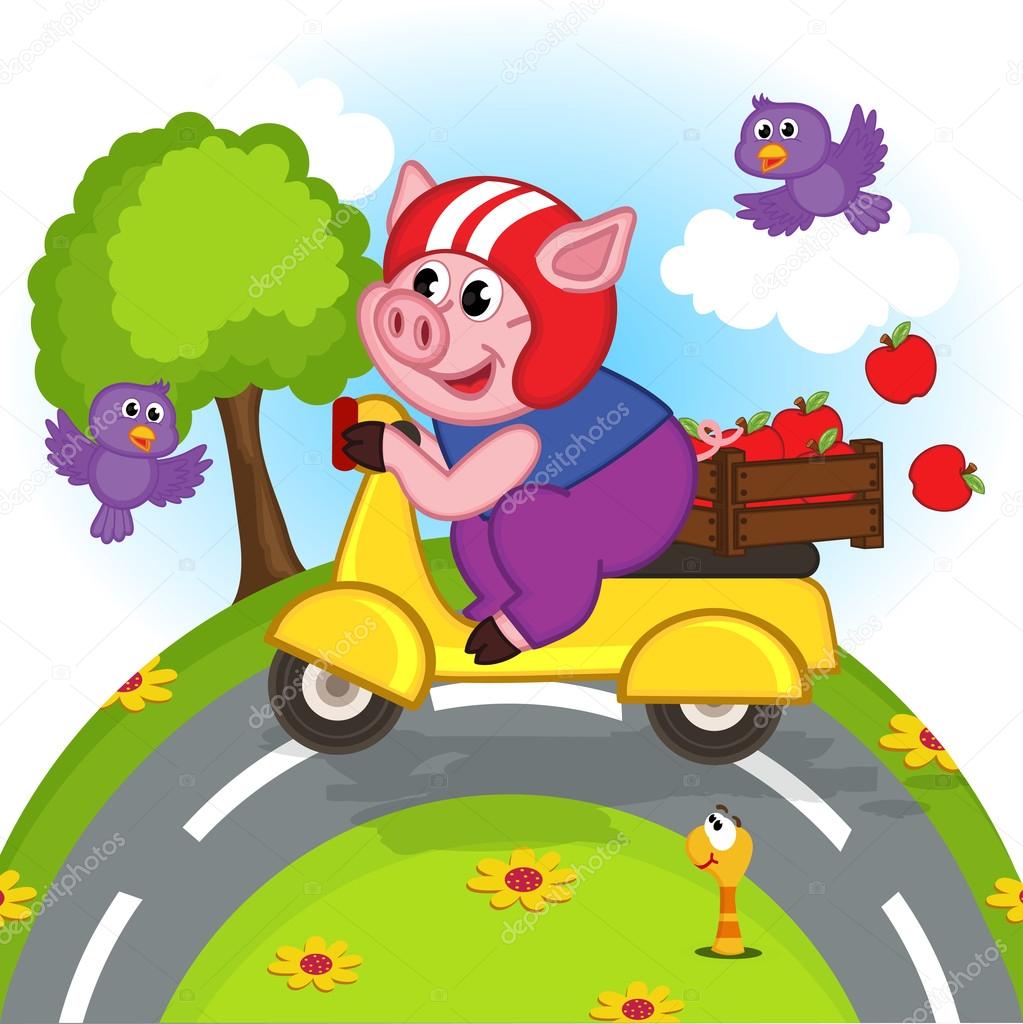 pig riding a scooter