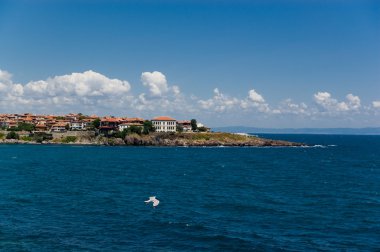 Sahil martı deniz Tur  