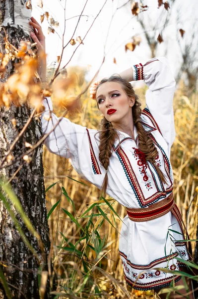 Young girl on the summer field  in national Belarus clothes, fas — Stock Photo, Image