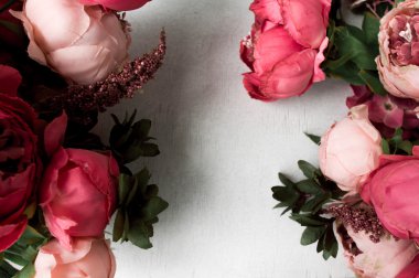 pembe peonies beyaz zemin üzerine izole