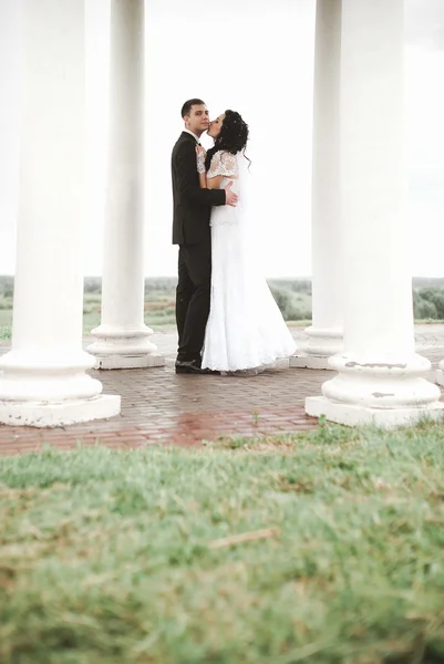 Elegant young happy wedding couple is sitting at green grass on — Stock Photo, Image