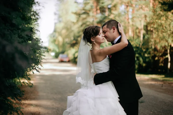 Elegante joven feliz boda pareja está sentado en la hierba verde en — Foto de Stock