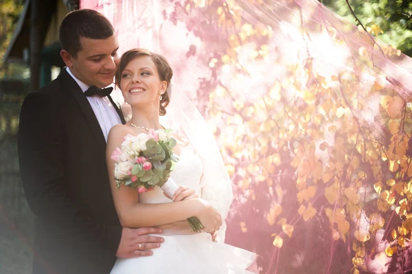 Elegante jovem casal casamento feliz está sentado na grama verde em — Fotografia de Stock