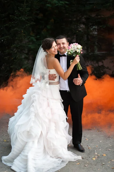 Elegante jovem casal casamento feliz está sentado na grama verde em — Fotografia de Stock