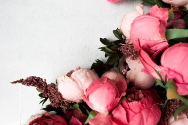 pembe peonies beyaz zemin üzerine izole