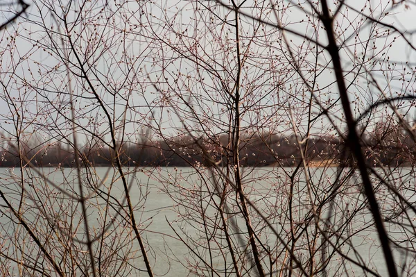 Fondo natural con paisaje primaveral y hielo derretido en el lago . — Foto de Stock